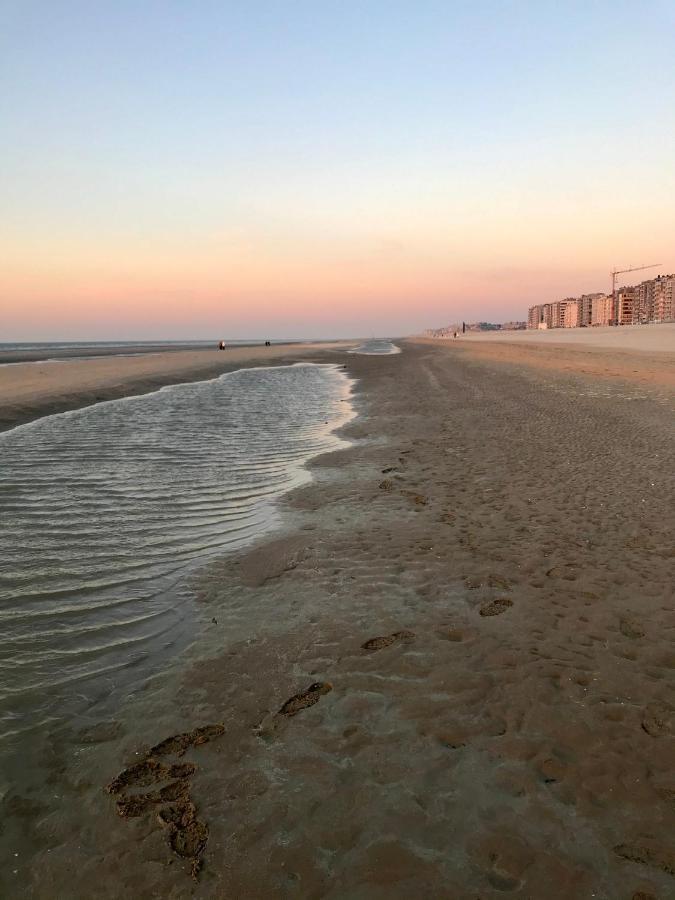 Happy Stay By Anais - 20M To Beach De Panne Eksteriør bilde